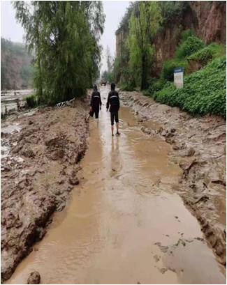 简报（2021）第14期