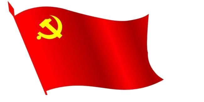 不要人夸颜色好，只留清气满乾坤 公司组织党员学习十九大精神