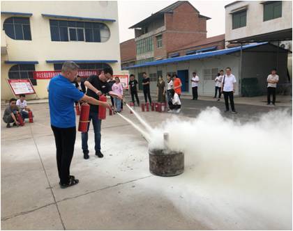 简报（2020）第12期