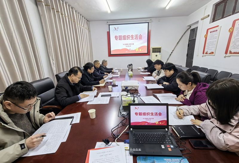 中共中公交通监理咨询河南有限公司支部委员会 2024年专题组织生活会