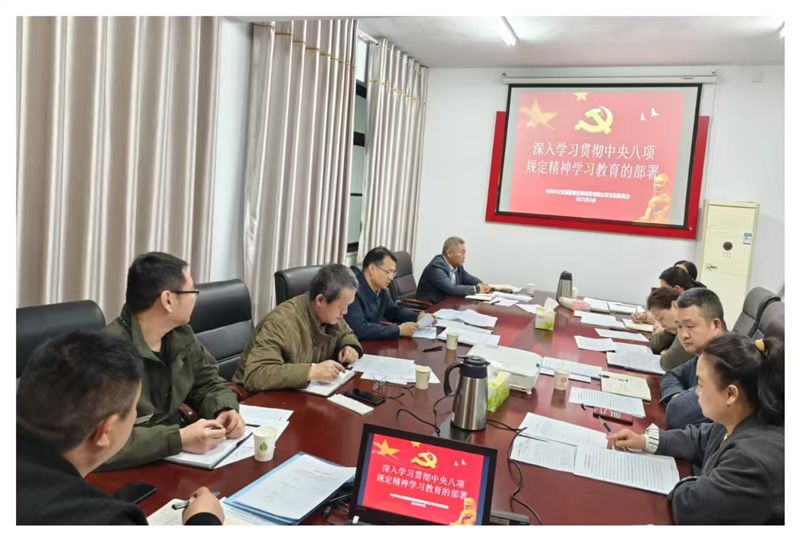 中共中公交通监理咨询河南有限公司支部委员会 深入贯彻中央八项规定学习教育的部署